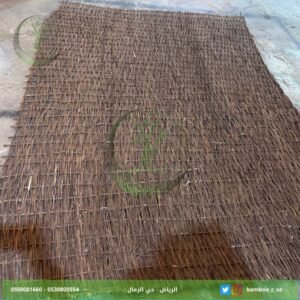 صفصاف أفريقي